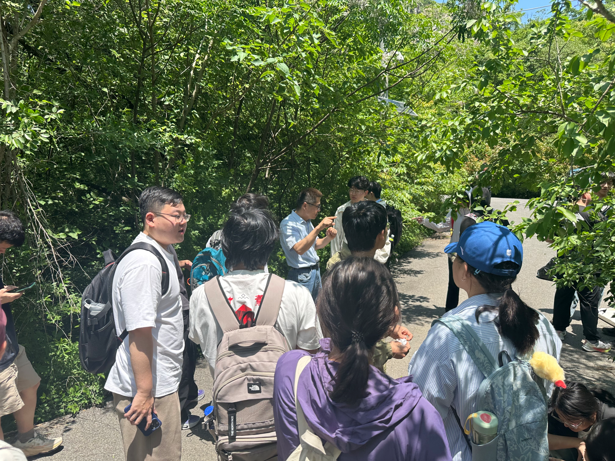 寻化石之趣，润心灵之美——资源与环境工程学院“寻找最美化石”主题活动顺利开展