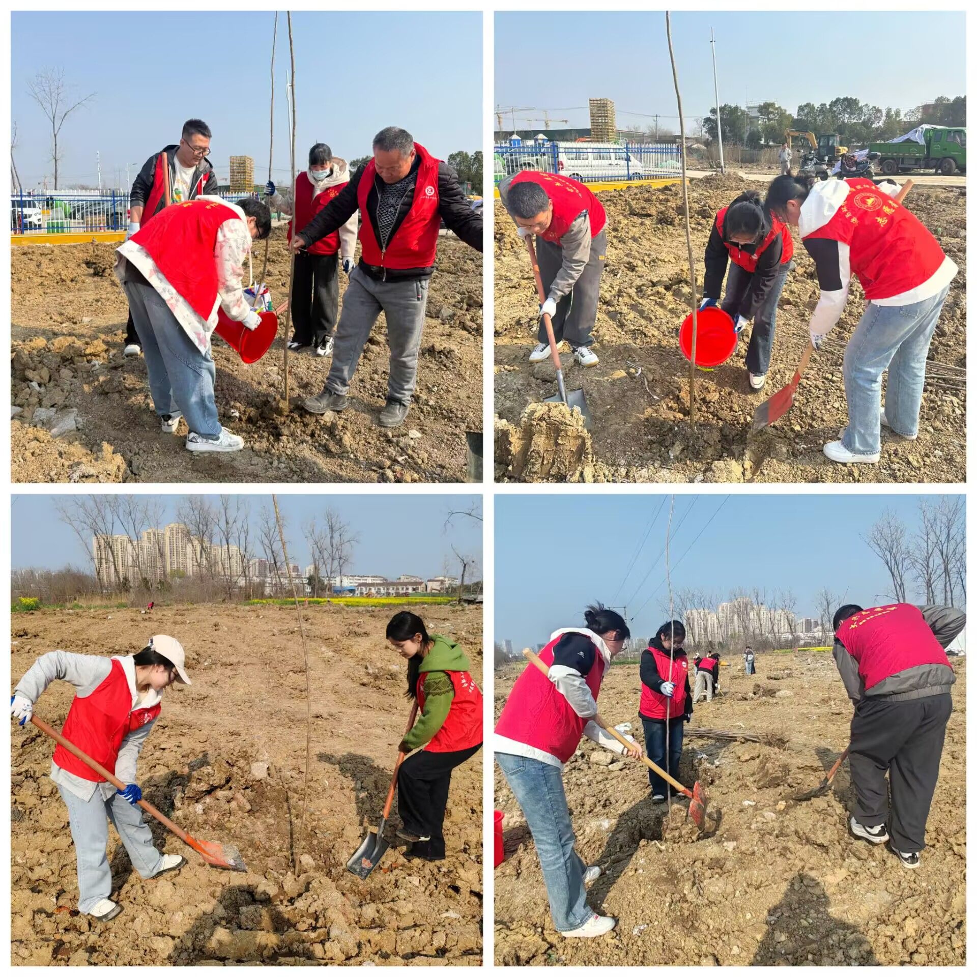 共植一棵树，同护一片绿——资环学院联合东岗社区开展植树节主题活动