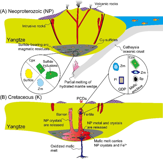 我校在斑岩型铜金矿床研究领域再获重要进展